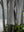 BAGGY PANTS, special twisted yarn fabrics