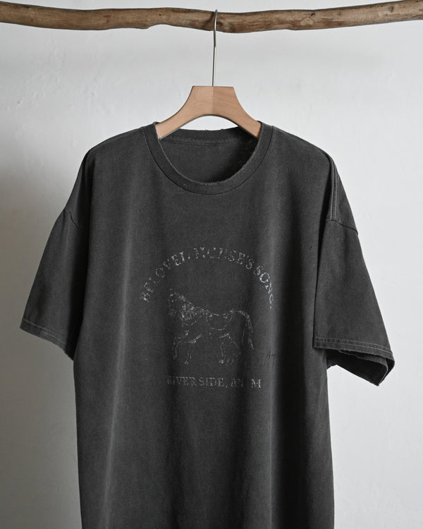 FADING HORSE SS, black