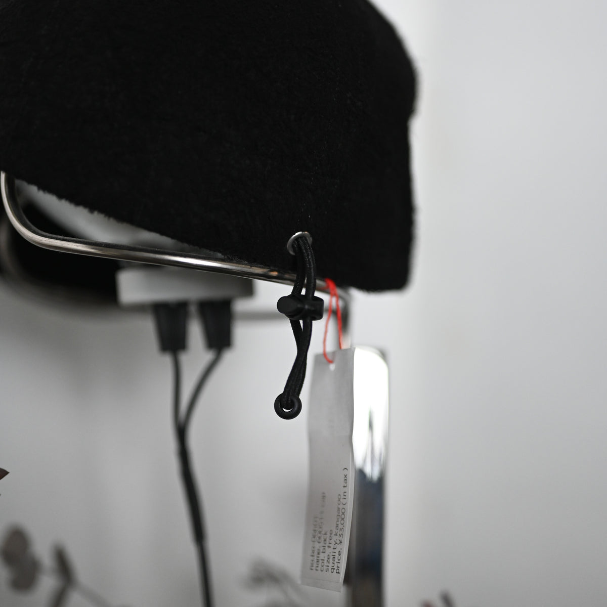 600511 cap – coelacanth