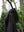 HOODED COAT, charcoal brown mixed color kasuri