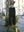 LINEN POPLIN BELT-LESS SLACKS