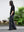 CRISP SILK  S P/O