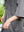 HIGH COUNT COTTON SHORT SLEEVE SHIRT