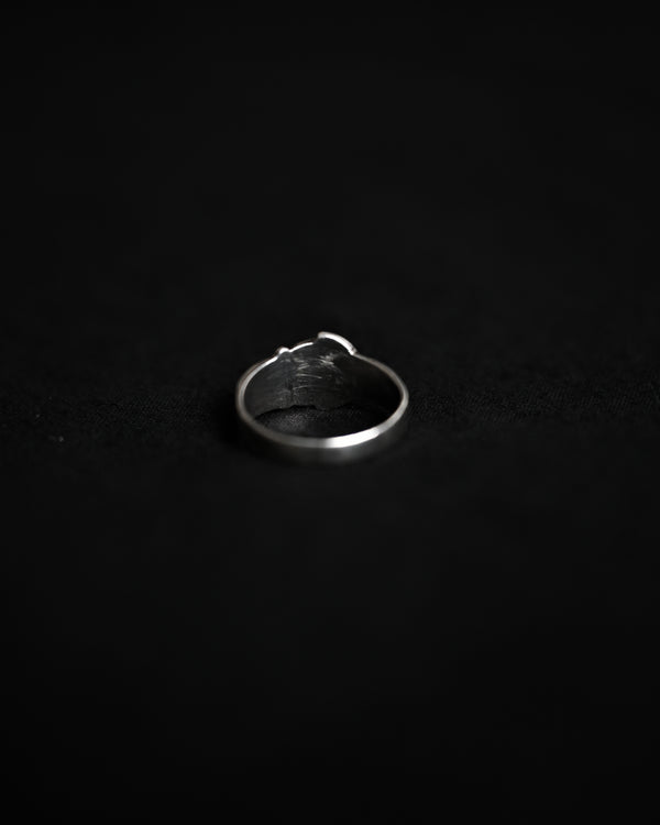 1975's Silver Ring, CA032