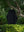 [予約商品]Slub yarn knit coat Ex. solid black