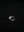 1990 - 2000's Silver Ring, CA026