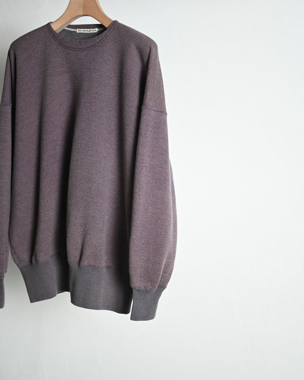 EXTRA COTTON FLEECE / CREW NECK LONG SLEEVE, faded heather color