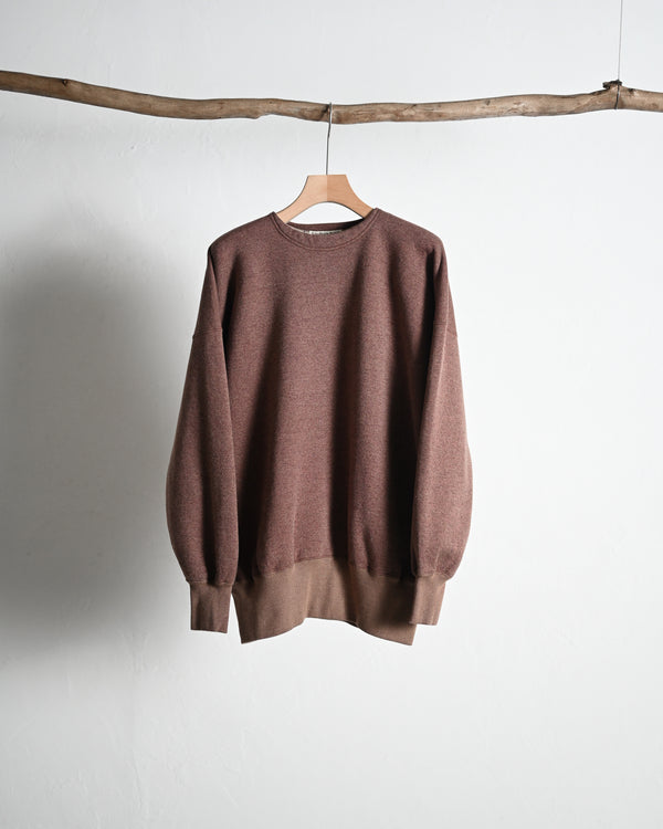 EXTRA COTTON FLEECE / CREW NECK LONG SLEEVE, faded heather color