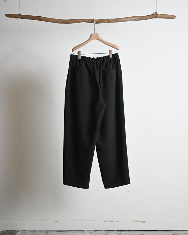 DOUBLE PLATED WIDE EASY PANTS, whipcord