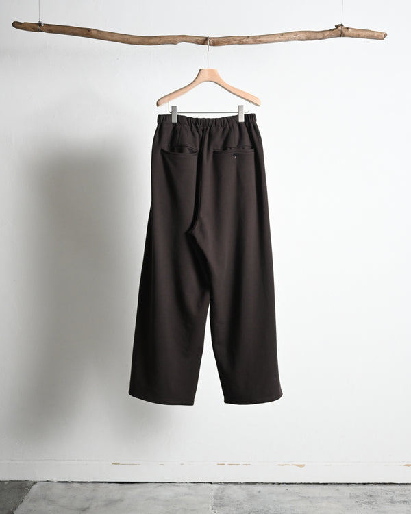 2TUCK SWEAT PANTS, brown
