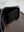 Mid Wallet, Horse Nuback