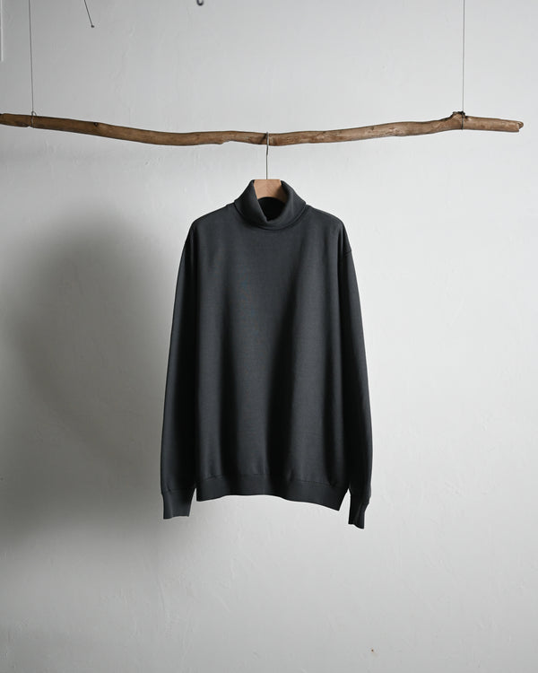 TURTLE NECK SWEAT, 2color