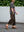 hakama knit pants, 2color