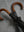 TL15 Small Maple Crook, PRINCE OF WALES